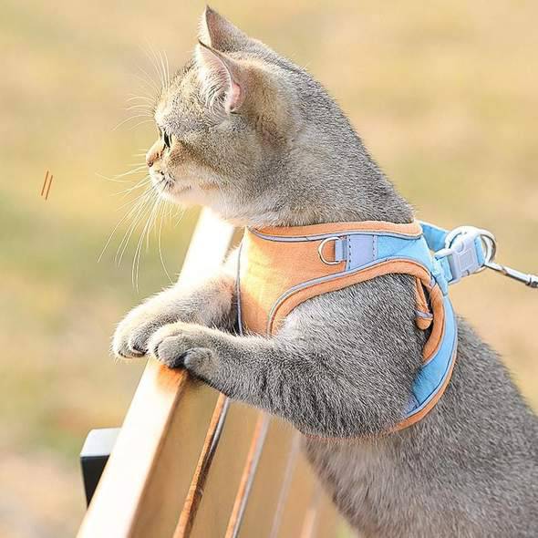 Cat Vest Harness and Leash Set - Escape Proof For Outdoor Walking - SKINMOZ MARKET
