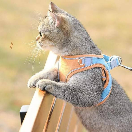 Cat Vest Harness and Leash Set - Escape Proof For Outdoor Walking - SKINMOZ MARKET