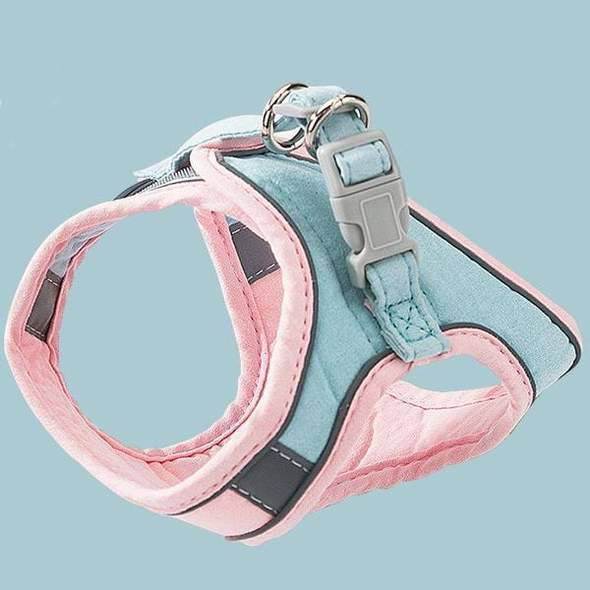Cat Vest Harness and Leash Set - Escape Proof For Outdoor Walking - SKINMOZ MARKET