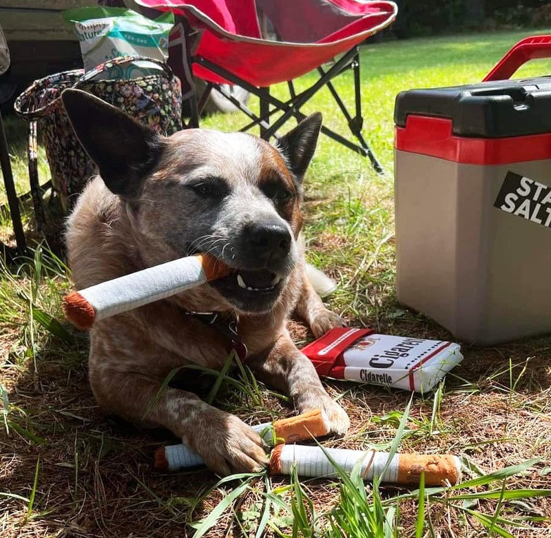 Cigarette Chew Toy for Dogs – Funny Dog Toy Smoking Design