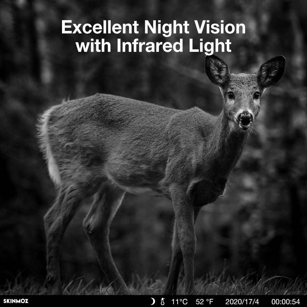 Trail Camera with Waterproof 32MP Wildlife Scouting Hunting Camera - SKINMOZ MARKET