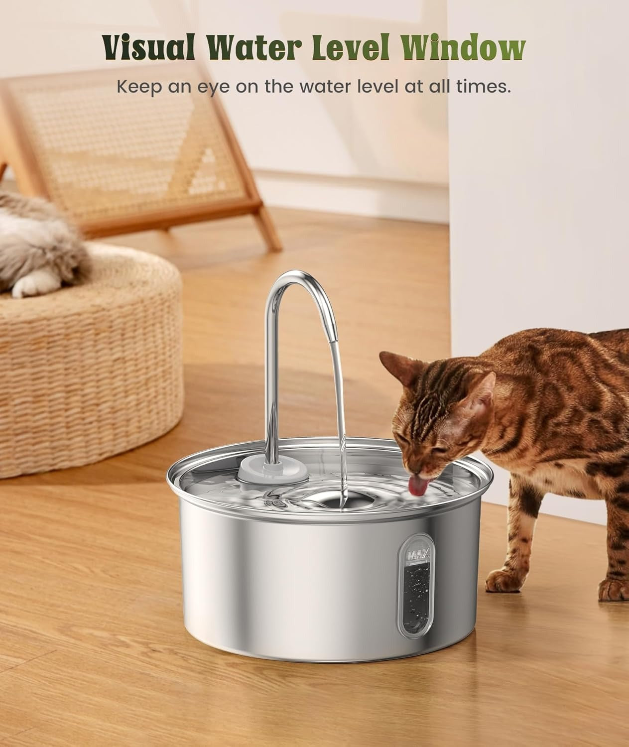 Stainless Steel Water Fountain for Cats & Small Dogs