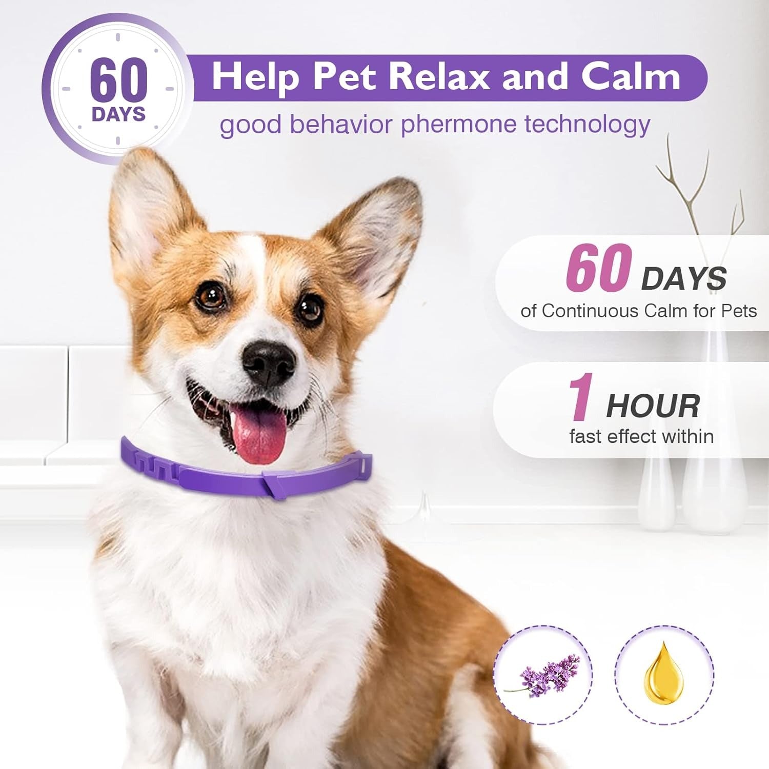 Calming Collar – Cats and Dogs 60 Days Stress & Anxiety Relief