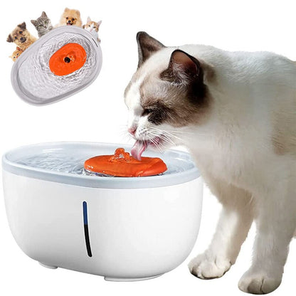 Avocado Cat Water Fountain