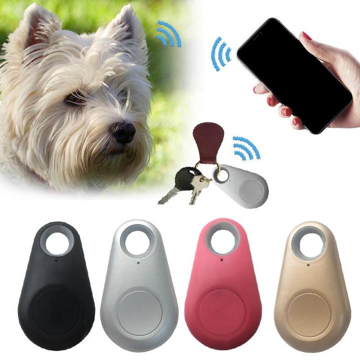 Animaux de compagnie Smart Mini Tracker GPS imperméable avec batterie