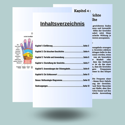 eBook : Stimmgabel ein (zu) wenig bekanntes instrument