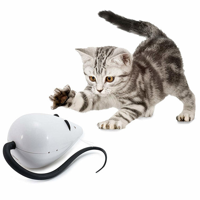 Automatic Electric Cat Toy – Interactive Mouse Teaser for Self-Entertainment & Active Play