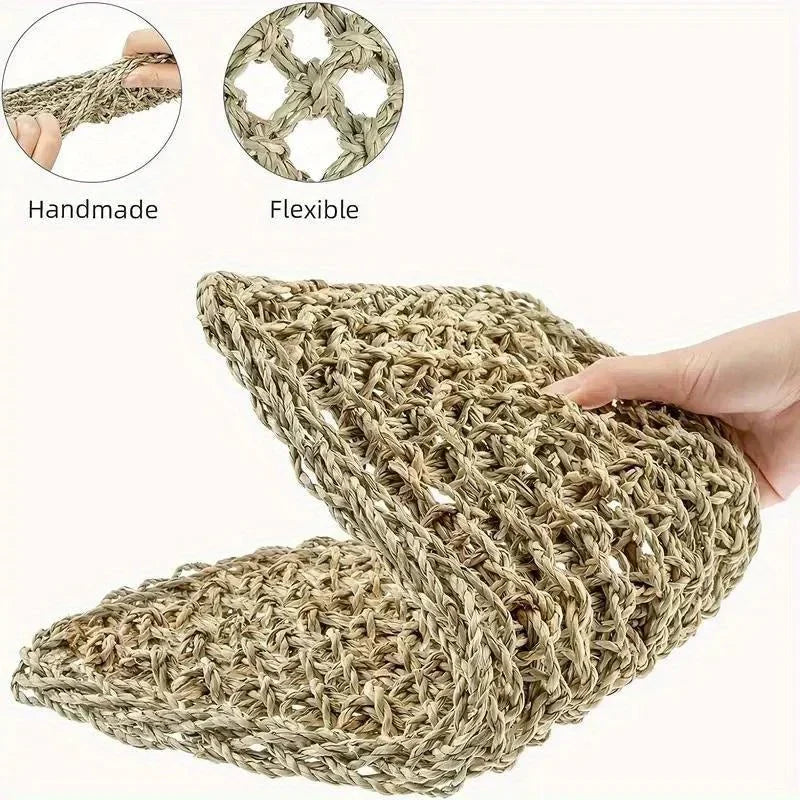 Bearded Dragon Hammock Reptile Lounger for Chameleon  / lizard